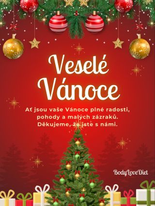 🎄Děkujeme vám za vaši podporu v letošním roce. Přejeme klidné Vánoce plné radosti a krásných okamžiků. BodyLoveDiet🥰 . . ....